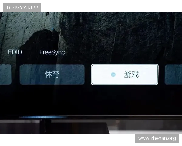 赛博体育官网登录流程详解及常见问题解决方案，确保玩家顺利畅玩每一场战斗