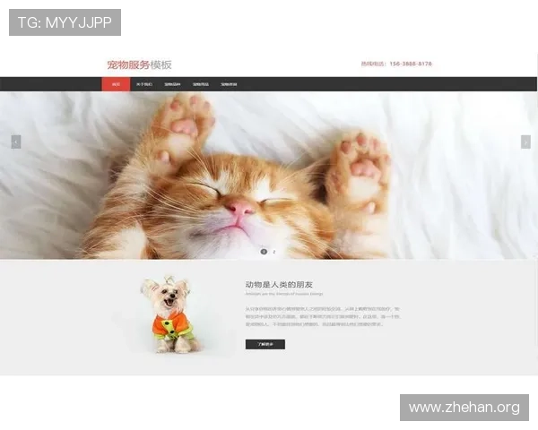 ob体育app官网安全可靠，保障您的个人信息与资金安全，放心畅玩每一场比赛